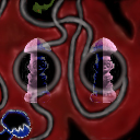 cross your eyes, make the corcles connect, disclaimer: I nor ice.org is responcible for problems with your vision related to this tile by Acid11