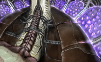 breeding chambers by nokturnal