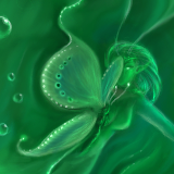 Butterfly by gecko
