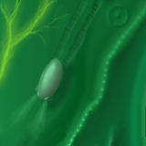 Excursion by baskerbosse