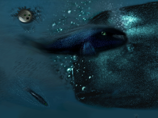 Some fish. by Jakub Sudra