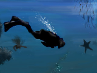 is that a fish ? by heinzon