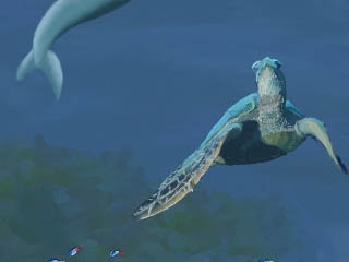 sea turtle and dolphin tail by miskate