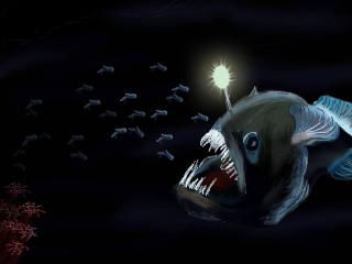 oooh - shiny! by miskate