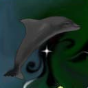 Psycadelic dolphin by Decra