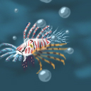 Lionfish by Yadoking