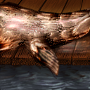 sealion by greg