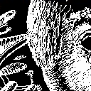 The botplanet and it's trademark, the ostrich by Straxz