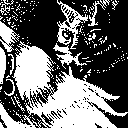He doesn't bite! Seriously! He just wants your earring. by gecko