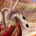 It Beats For You by gecko