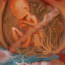 organic... by heinzon