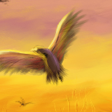 Bird of Prey by jamiem
