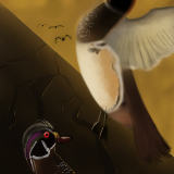 Ducks! Ducks everywhere! They're swarming! Ahhhh. by empyrean
