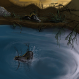 Rolling River by leo