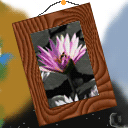 Hope this ones origonal... because i thought of it by myself... by DarkDevil