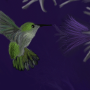 chirp chirp chirp! flap, flap, flap! by dweebus