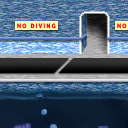 Lets go swimming! by matic