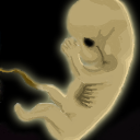 i know the background is kinda "blah" by 4elementz