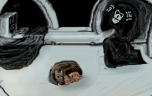 death laments birth of puppies in his computer den//disappearing face of felix the cat by greg