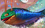 fishing thuna by jito