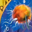 Searching for Meaning 2 by 111