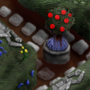 Painting the roses red. by fpsucculent