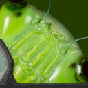 bug eyed by milchy