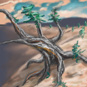 Methuselah - Ancient Bristlecone Pine by watchitman