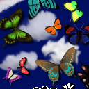 Butterfly Convention by Soxan
