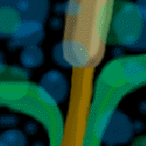 cat-tail in a haze by Yummy