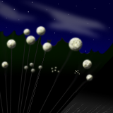 moon poppies by isildur