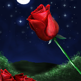 Romantic? by Reko by Reko