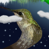 and there it was, the little hummingbird in the clouds. at least it's head ;-) by masu