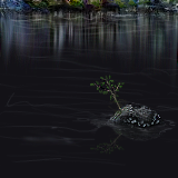 Reflections by Reko