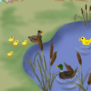 Quack, quack! by ciraa