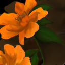 first tile, whoopee! by ciraa