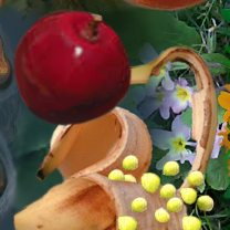 bananutopia (images from freeimages.co.uk) by miskate