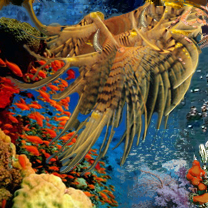 Deep Sea Dreams by CyberX