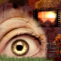 Thanks to jezebelstock.deviantart.com for the eye and relique for the brushes. btw my first manip - well that I can remember anyway. by elmo-lester