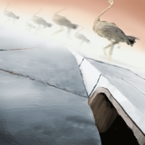 Crazy Ostrich frenzy in the street by jamiem