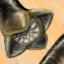 honor the shai hulud! by jokergirl