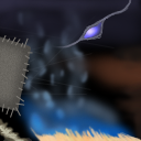 Poor quality patch of humility. by fraxyl