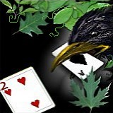 Card carrying Raven by LongIslandEddie