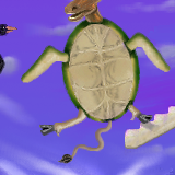 doin' the Mock Turtle Dance by raganaga