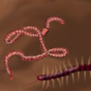 The Underground World by Yadoking