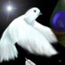 Pretty birdy? About to hit something... by Shayde