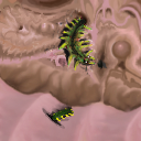 Sweet maggot's home by Damien_Dark