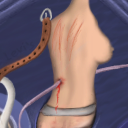 The Beauty And The Punishment. My very first attempt to draw something human-shaped gets whipped. hehehe by skyfarmer