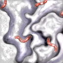 woim eaten doodle by raganaga