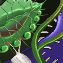 rhizomes by raganaga